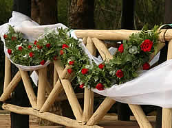 You can do all your wedding planning right here at Bushveld Lodge Wedding Venue